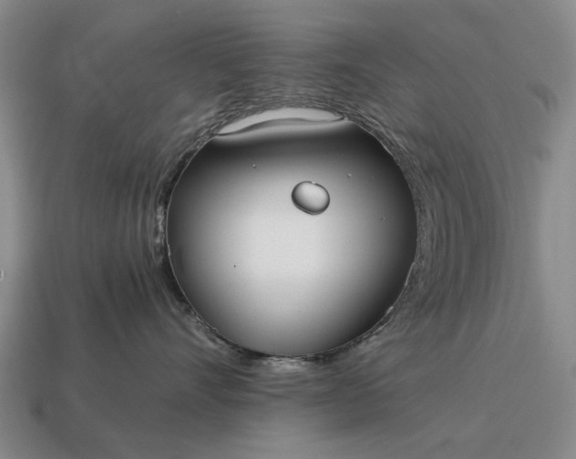 X0000115080528200911101505