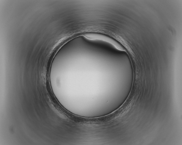 X0000115080530200911101504