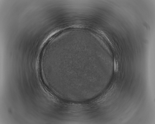 X0000115080531200911101504