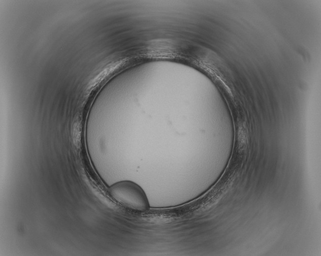 X0000115080533200911101504