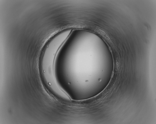 X0000115080534200911101504