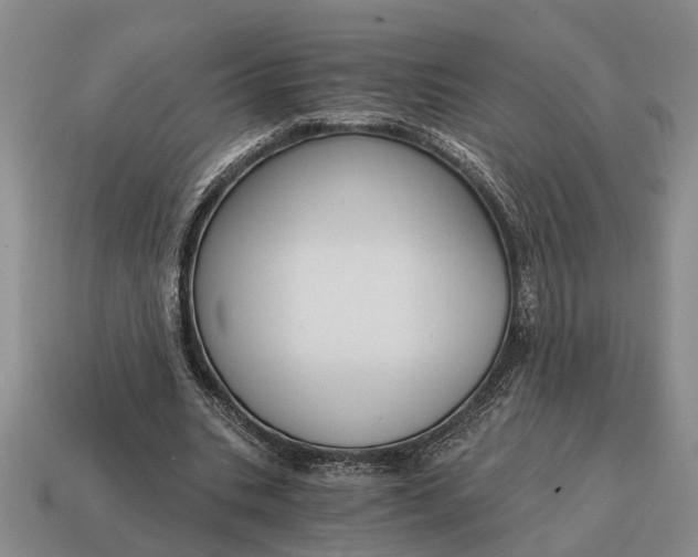 X0000115080535200911101505