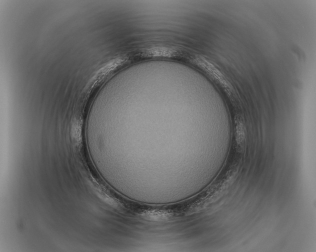 X0000115080537200911101505