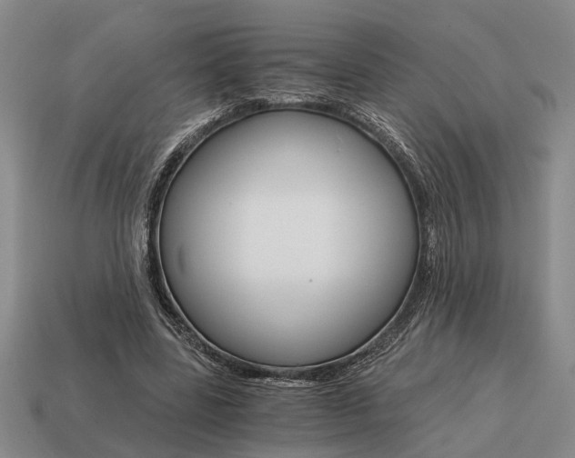 X0000115080539200911101505