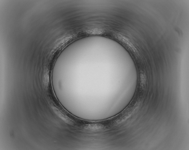 X0000115080541200911101505