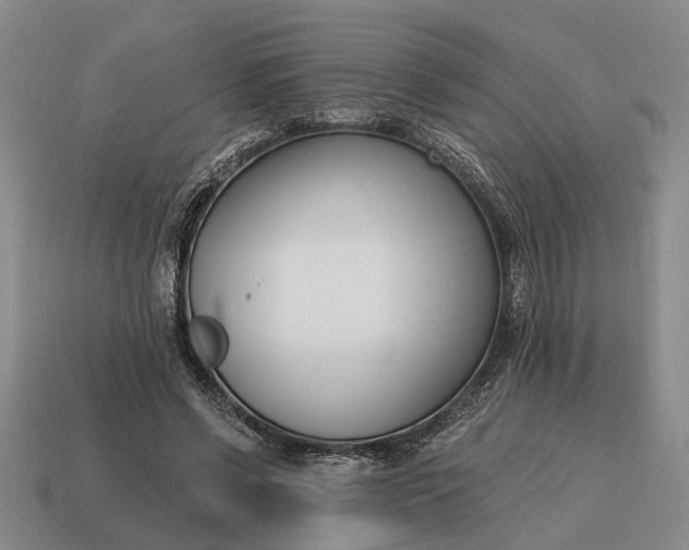 X0000115080542200911101505