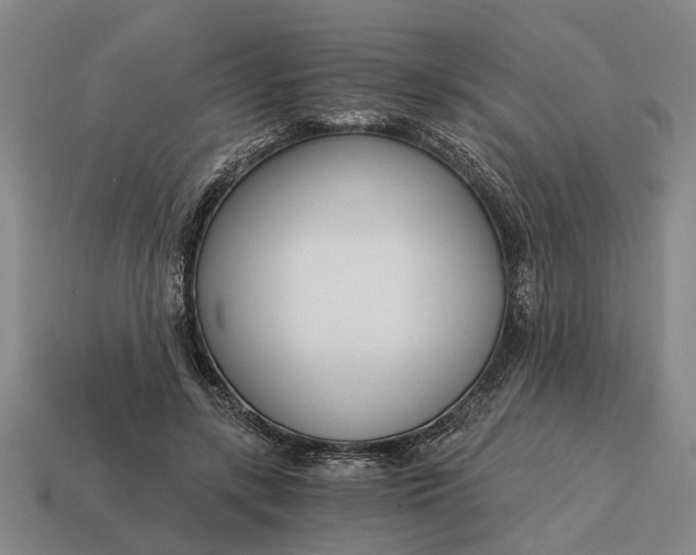 X0000115080547200911101505