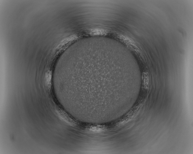 X0000115080550200911101505