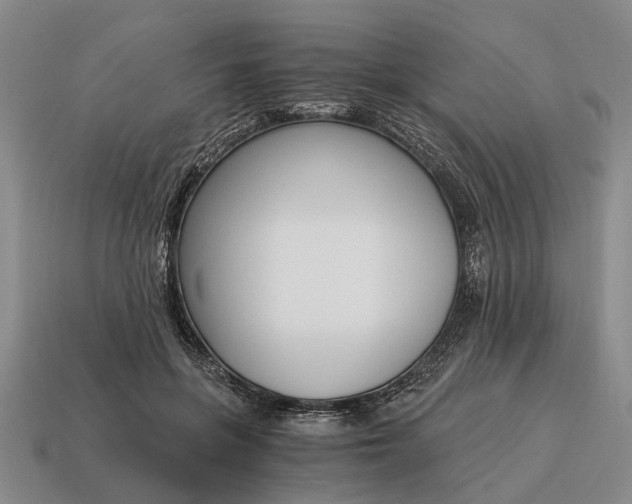 X0000115080551200911101505