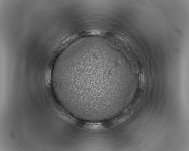X0000115080554200911101505