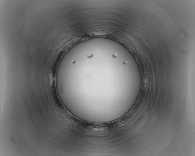 X0000115080555200911101505