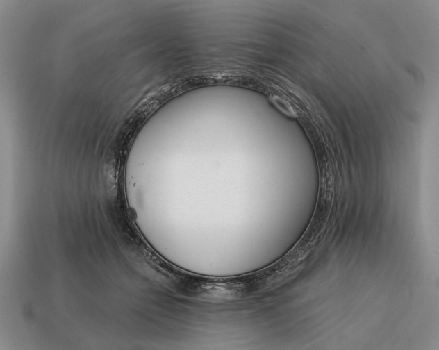 X0000115080558200911101505