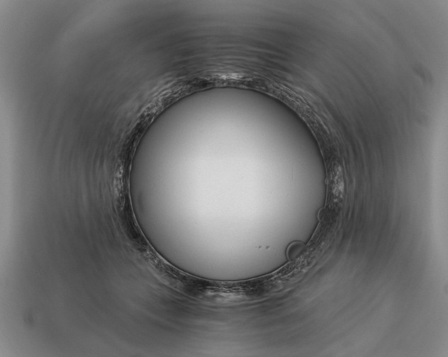 X0000115080559200911101505