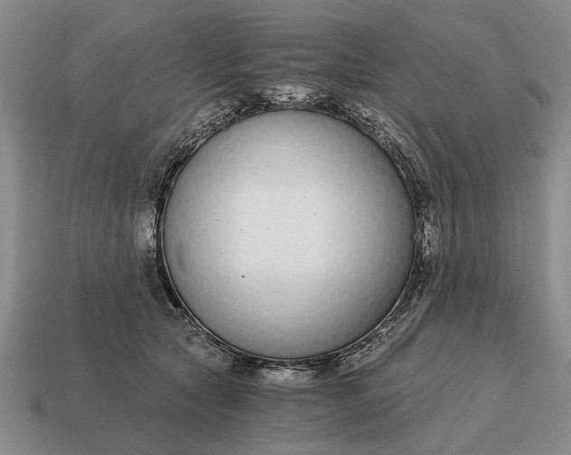 X0000115080561200911101505