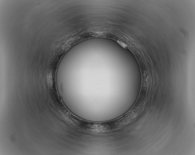 X0000115080562200911101505