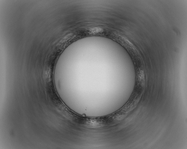X0000115080565200911101505