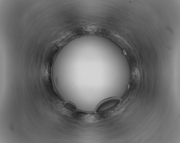 X0000115080566200911101505