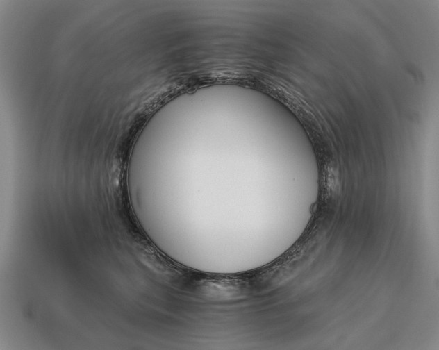 X0000115080567200911101505