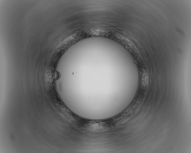 X0000115080569200911101505