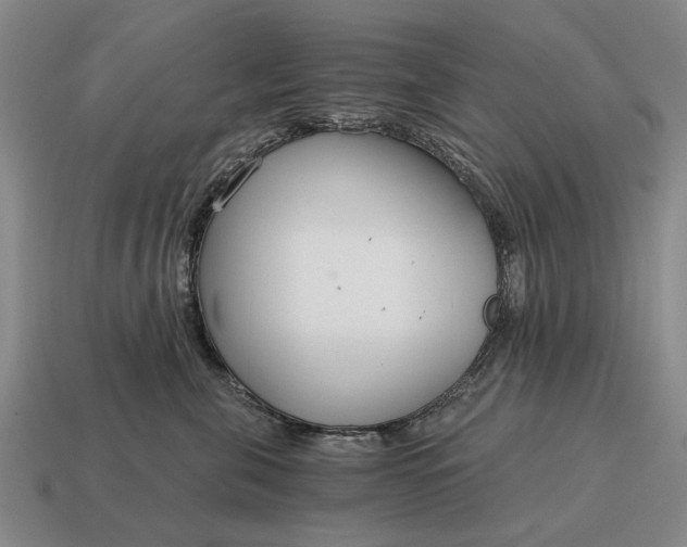 X0000115080571200911101505