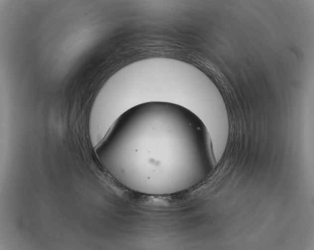 X0000115080573200911101505