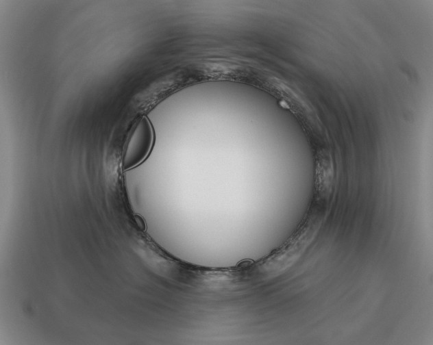 X0000115080574200911101505