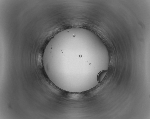 X0000115080575200911101505