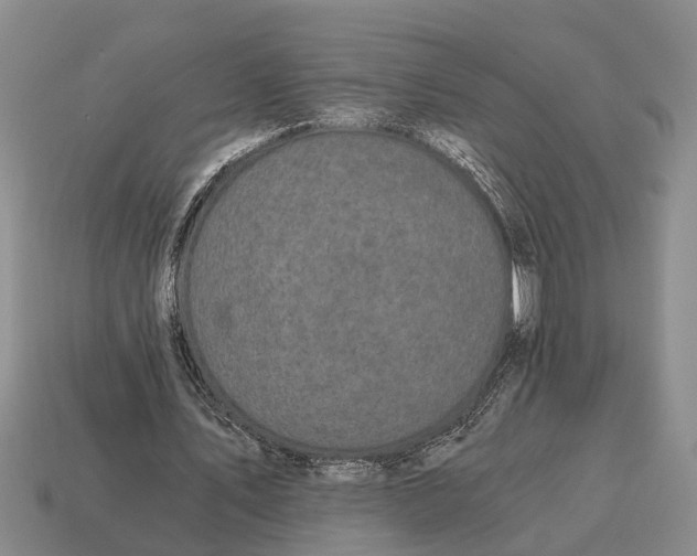 X0000115080579200911101504