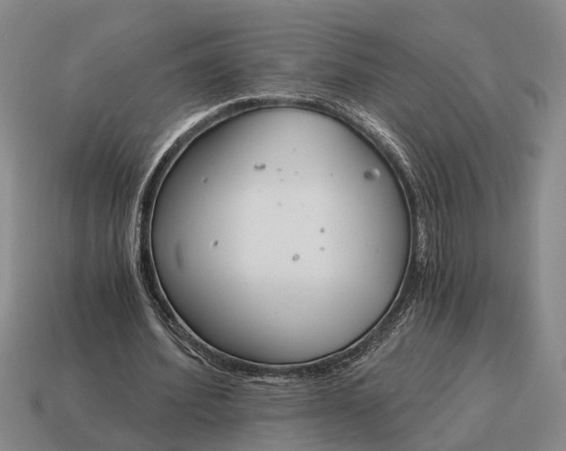 X0000115080580200911101504