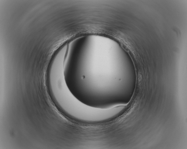 X0000115080581200911101504