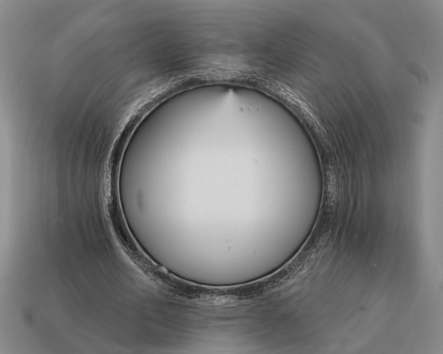 X0000115080582200911101504
