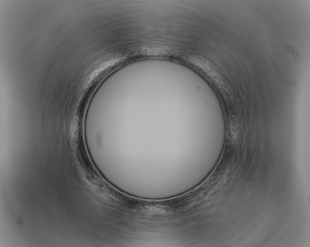 X0000115080583200911101504