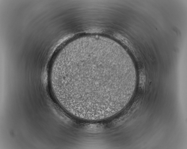 X0000115080584200911101504