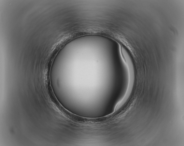 X0000115080585200911101504