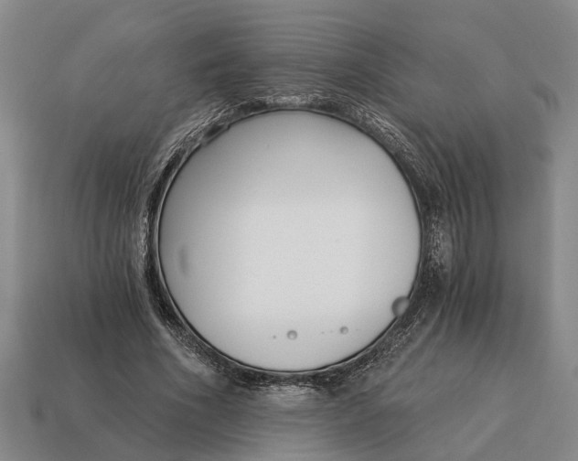 X0000115080586200911101504
