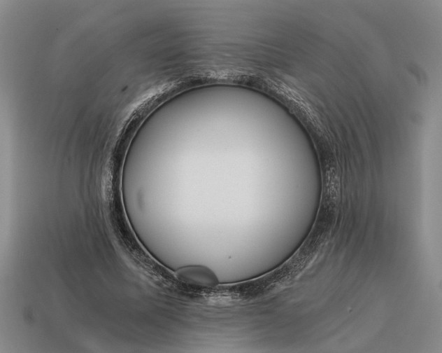 X0000115080587200911101504