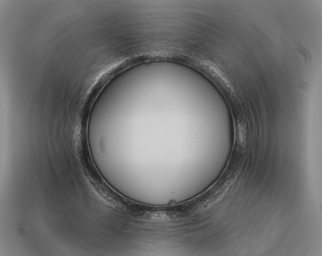 X0000115080588200911101504
