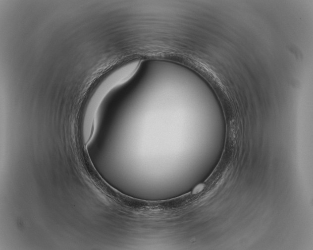 X0000115080589200911101504