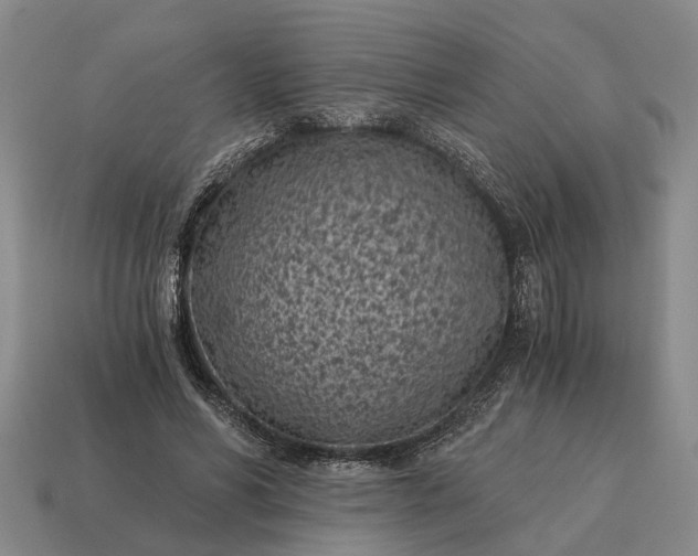 X0000115080590200911101504