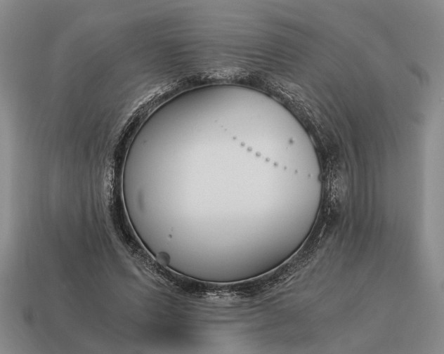 X0000115080591200911101504
