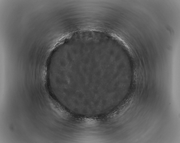 X0000115080592200911101504