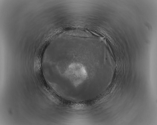 X0000115080593200911101504