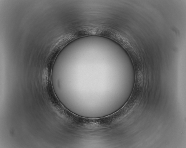 X0000115080594200911101504