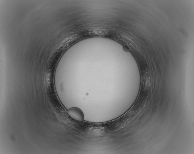 X0000115080595200911101504
