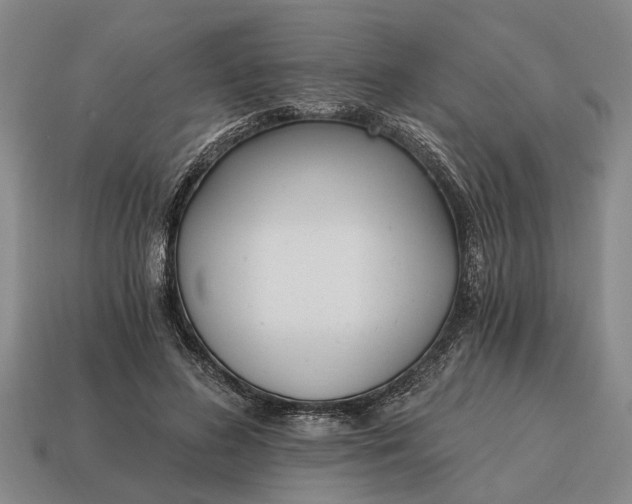X0000115080596200911101504