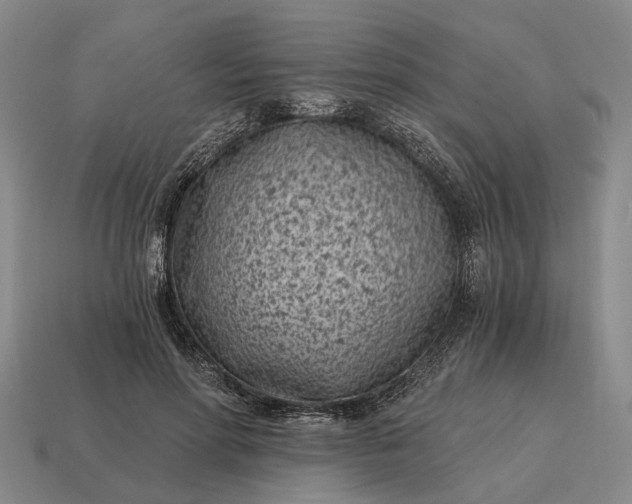 X0000115080598200911101504