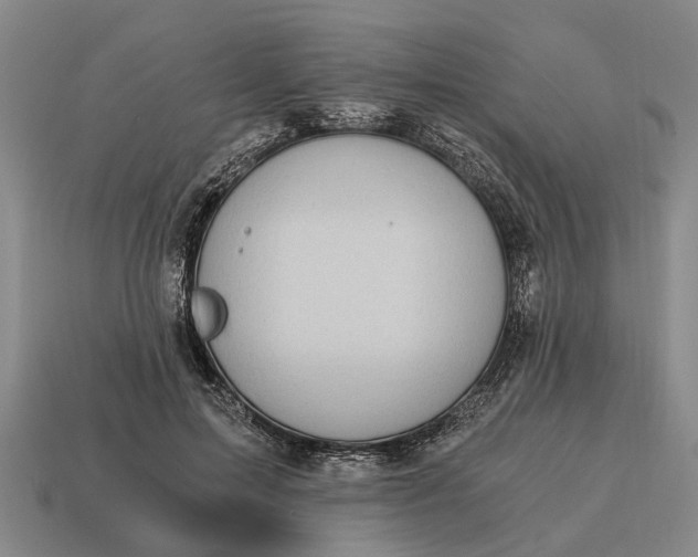 X0000115080599200911101504