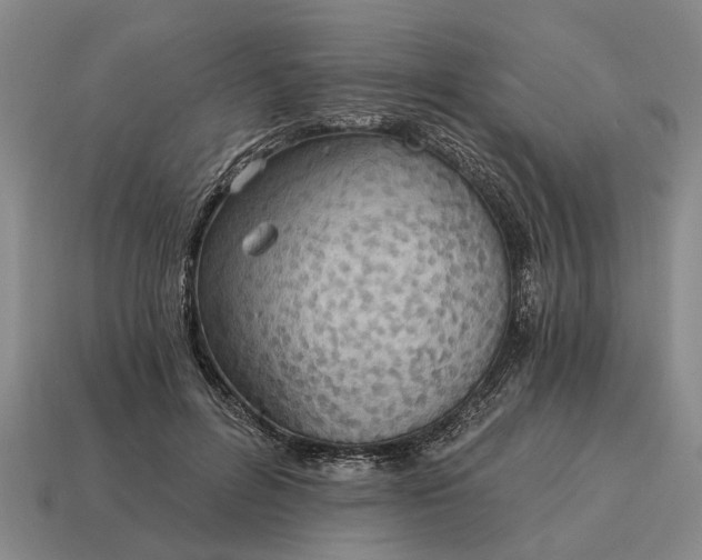 X0000115080600200911101504