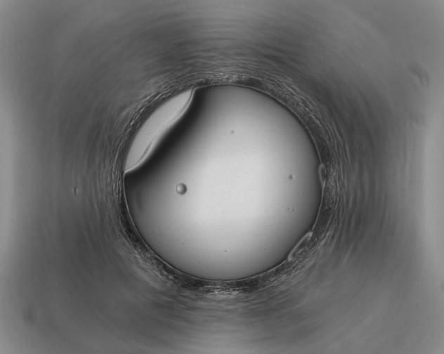 X0000115080601200911101504