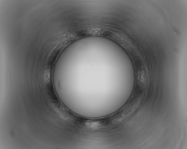 X0000115080602200911101504